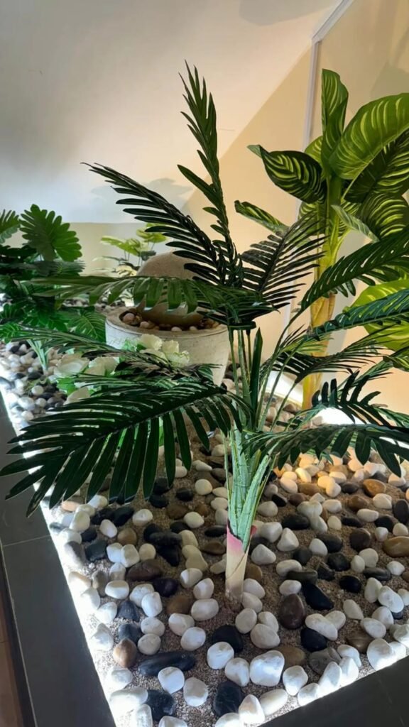 صيانة حدائق منزليه بالاحساء